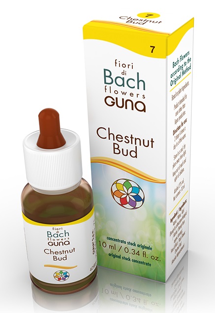CHESTNUT BUD GOCCE 10 ML - Angeli Pharm