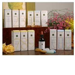 ZEF11 CALMA PLANT STV - Angeli Pharm