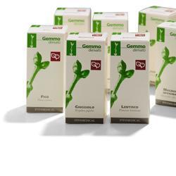 GIUGGIOLO MACERATO GLICERICO 50 ML - Angeli Pharm