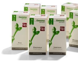 RIBES NERO MACERATO GLICERICO 100 ML - Angeli Pharm