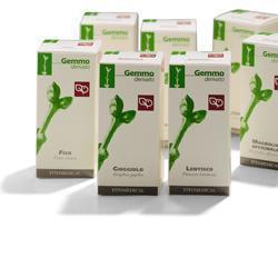 FAGGIO MACERATO GLICERICO 200 ML - Angeli Pharm