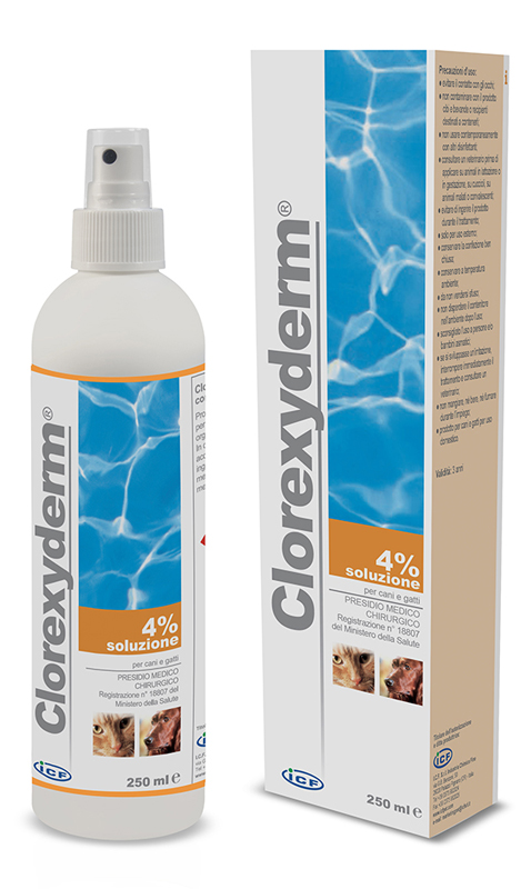 CLOREXYDERM SOLUZIONE 4% 250 ML - Angeli Pharm