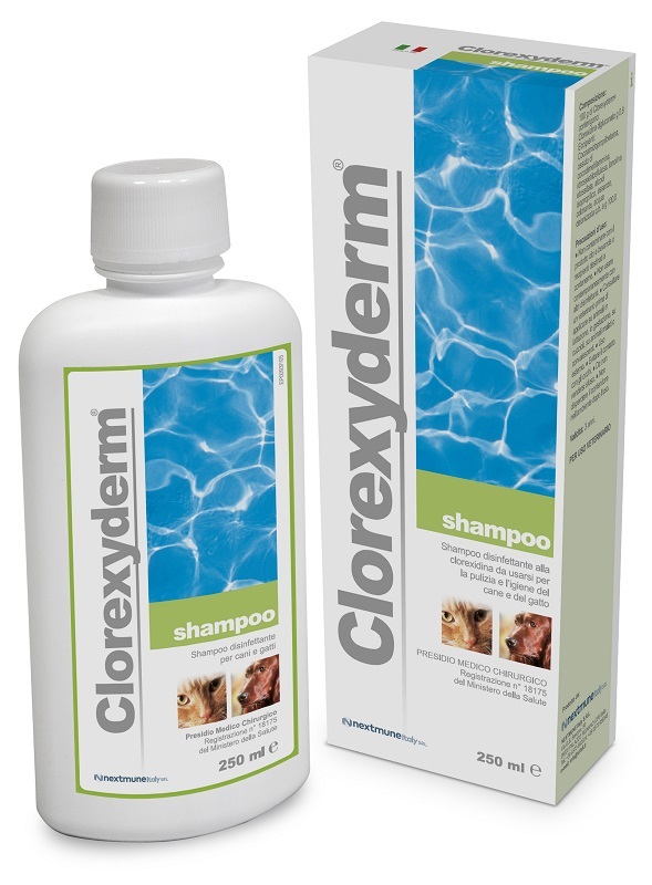 CLOREXYDERM SHAMPOO 250 ML - Angeli Pharm