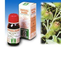 BARDANA 50ML TM - Angeli Pharm