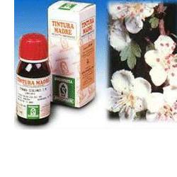 BIANCOSPINO 10 50ML TM - Angeli Pharm