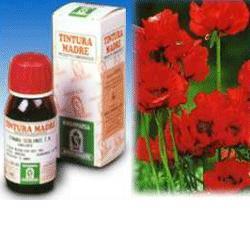 PAPAVERO CALIFORNIA 13 50ML TM - Angeli Pharm