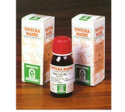 AMAMELIDE 15 50ML TM - Angeli Pharm