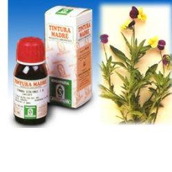VIOLA DEL PENSIERO 32 50ML TM - Angeli Pharm