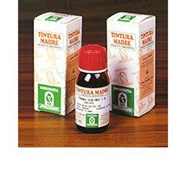 ARTIGLIO DEL DIAVOLO 35 50MLTM - Angeli Pharm