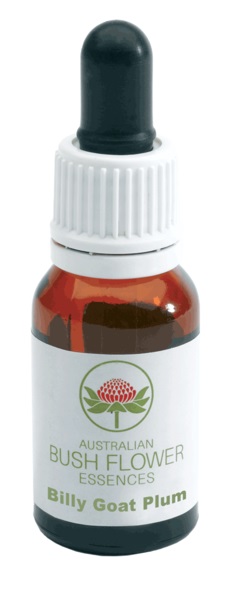BILLY GOAT PLUM GOCCE 15 ML - Angeli Pharm