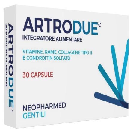 ARTRODUE 30 CAPSULE 0,2 G - Angeli Pharm