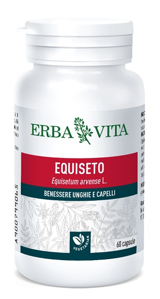 EQUISETO 60 CAPSULE - Angeli Pharm