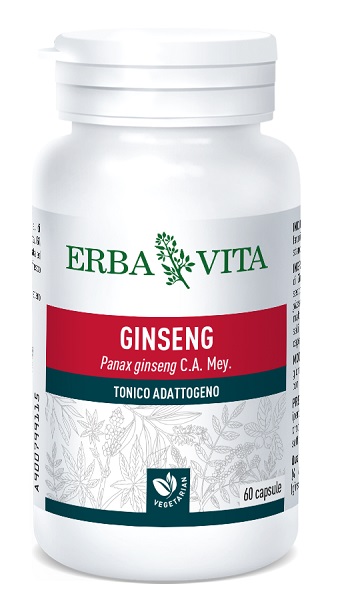 GINSENG 60 CAPSULE - Angeli Pharm