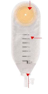 SACCA PER DRENAGGIO DELLE FERITE STERILE COLOPLAST CAPACITA' MINI 100ML 10 PEZZI ARTICOLO 2210 - Angeli Pharm