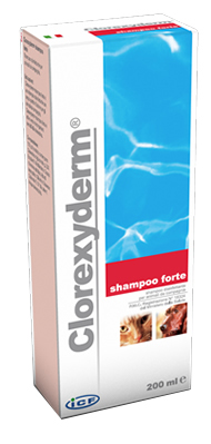 CLOREXYDERM SHAMPOO FORTE 200 ML - Angeli Pharm