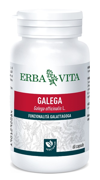 GALEGA 60 CAPSULE - Angeli Pharm
