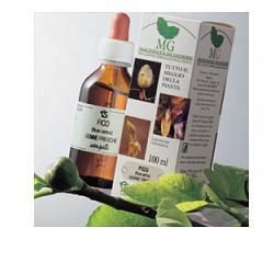 ROSA CANINA MACERATO GLICERICO 100 ML - Angeli Pharm