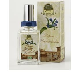 SPEZIALI PROFUMO NONTISCORDARDIME 50 ML - Angeli Pharm