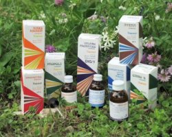 RAEMIL ARTIS GINKO BIL COMPOSTO 25 - Angeli Pharm
