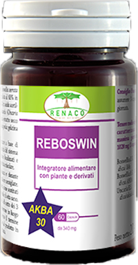 REBOSWIN 60 CAPSULE - Angeli Pharm