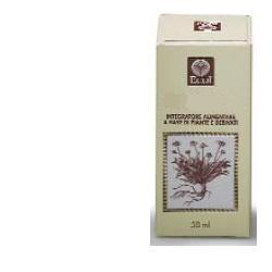 FICO GEMME ESTRATTO ANALCOLICO 50 ML - Angeli Pharm