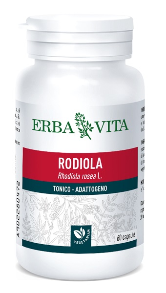 RHODIOLA ROSAE 60 CAPSULE - Angeli Pharm