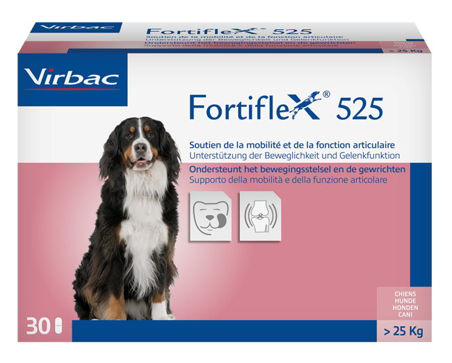 FORTIFLEX 525 MG 30 COMPRESSE APPETIBILI - Angeli Pharm