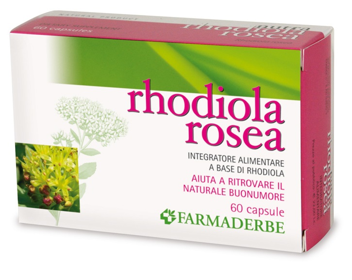 RHODIOLA ROSEA 60 CAPSULE - Angeli Pharm