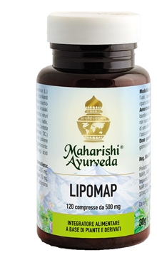 LIPOMAP 120 COMPRESSE - Angeli Pharm