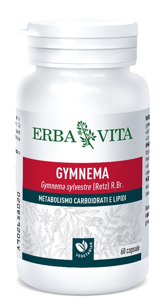 GYMNEMA SYLVESTRE 60 CAPSULE 350 MG - Angeli Pharm