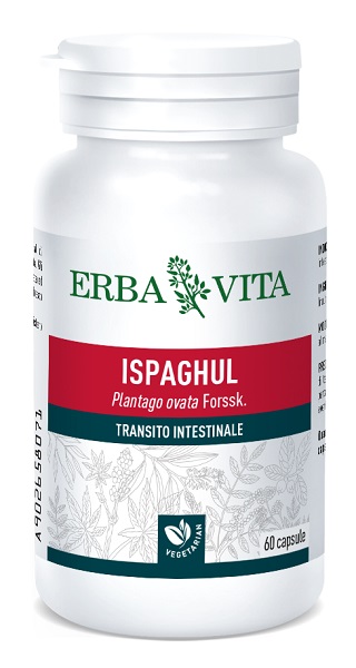 ISPAGHUL 60 CAPSULE 500 MG - Angeli Pharm
