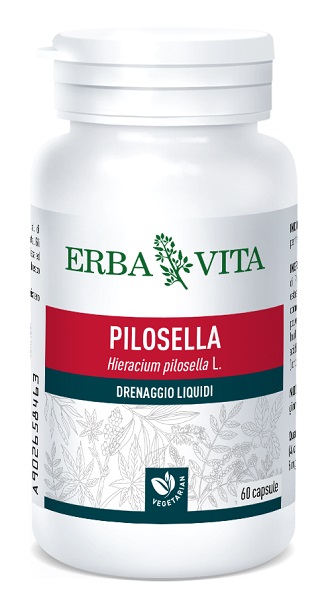PILOSELLA 60 CAPSULE 400 MG - Angeli Pharm