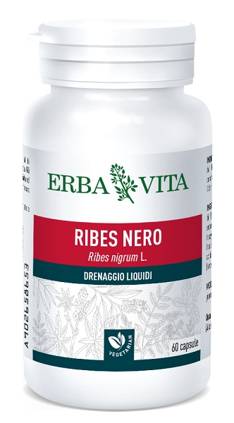 RIBES NERO 60 CAPSULE 450 MG - Angeli Pharm