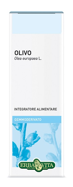 GEMMODERIVATO OLIVO 50 ML - Angeli Pharm