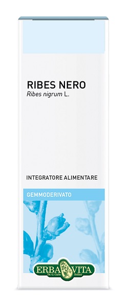 GEMMODERIVATO RIBES NERO 50 ML - Angeli Pharm