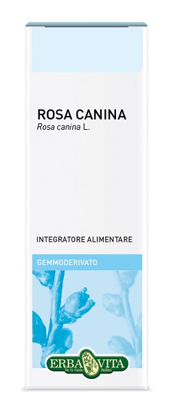 GEMMODERIVATO ROSA CANINA 50 ML - Angeli Pharm