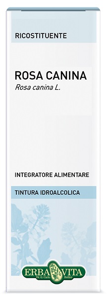 ROSA CANINA BACCHE TINTURA IDROALCOLICA 50 ML EBV - Angeli Pharm