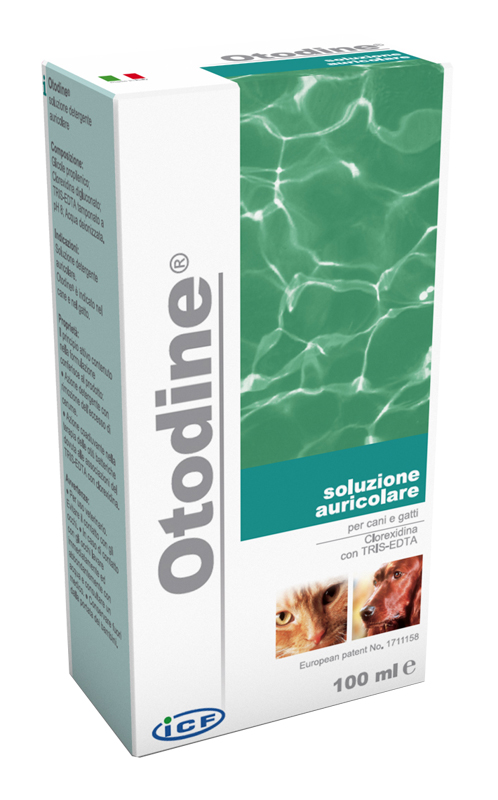 OTODINE DETERGENTE LIQUIDO 100 ML - Angeli Pharm