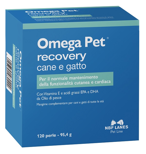 OMEGA PET RECOVERY BLISTER 120 PERLE - Angeli Pharm