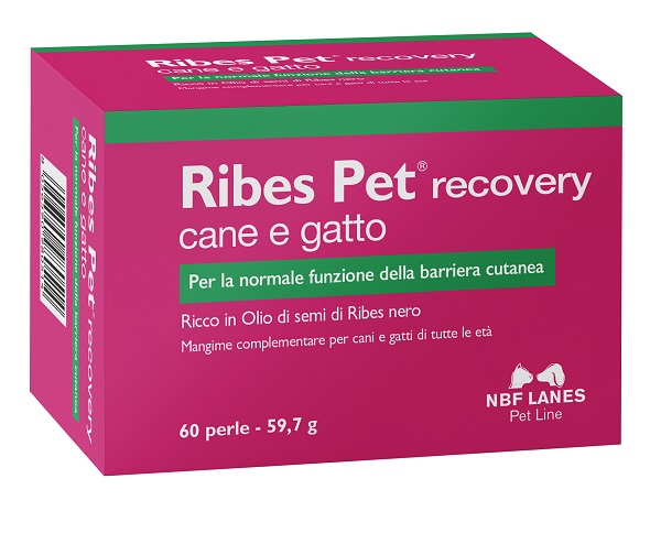 RIBES PET RECOVERY BLISTER 60 PERLE - Angeli Pharm