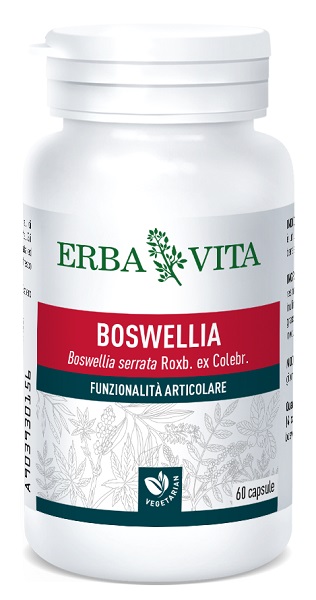 BOSWELLIA SERRATA 60 CAPSULE 400 MG - Angeli Pharm
