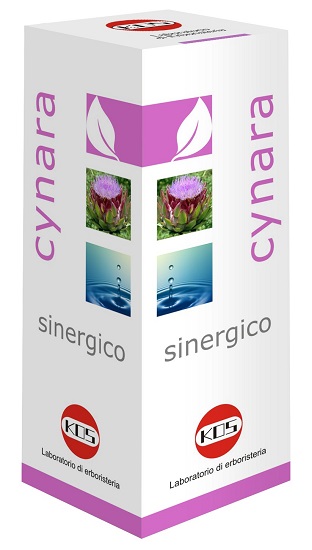 CYNARA SINERGICO GOCCE 100 ML - Angeli Pharm