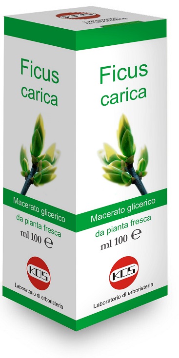 FICUS CARICA MACERATO GLICERICO 100 ML - Angeli Pharm