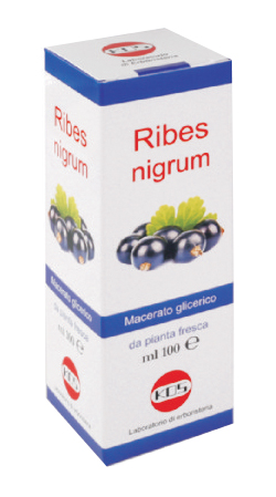 RIBES NIGRUM MACERATO GLICERICO 100 ML GOCCE - Angeli Pharm