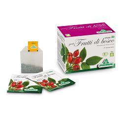 INFUSO BIO FRUTTA FRUTTI DI BOSCO 20 FILTRI - Angeli Pharm