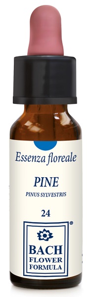 PINE ORIGINAL GOCCE 10 ML - Angeli Pharm