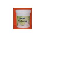 PHYTOGENZIANA 60 CAPSULE - Angeli Pharm