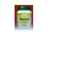 PHYTOZYM 60 CAPSULE - Angeli Pharm