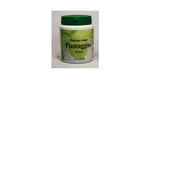 PIANTAGGINE 60 CAPSULE - Angeli Pharm