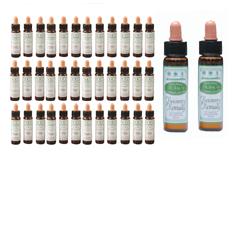 AINSWORTHS FLOWER REMEDY SET40 - Angeli Pharm